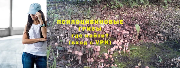 стаф Лабытнанги